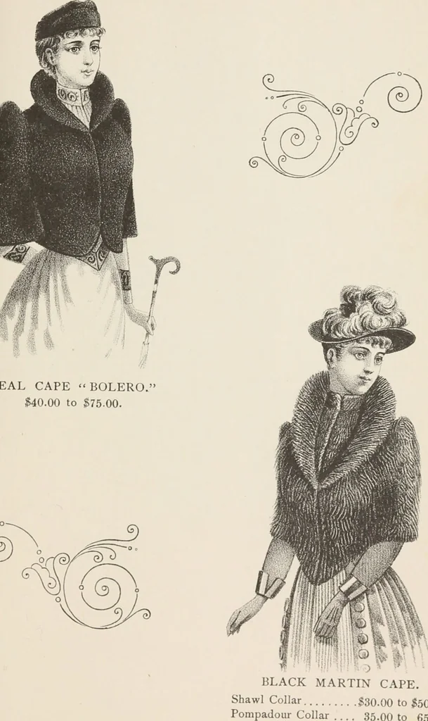 An illustration from Lamson & Hubbard, manufacturers of ladies' furs of every description : wholesale and retail, 1890, leaf 27