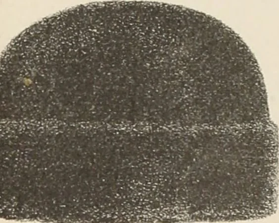 An illustration from Lamson & Hubbard, manufacturers of ladies' furs of every description : wholesale and retail, 1890, leaf 65