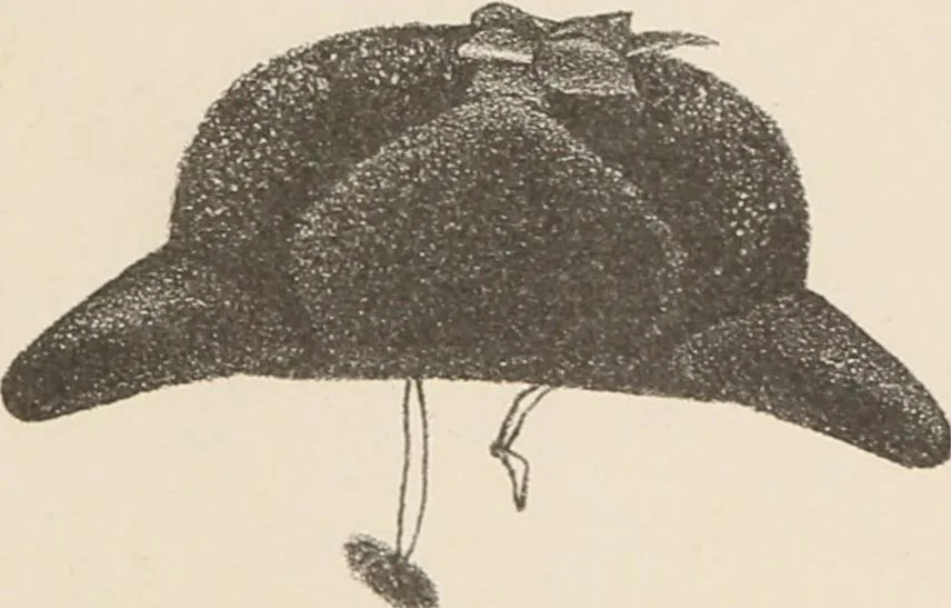 An illustration from Lamson & Hubbard, manufacturers of ladies' furs of every description : wholesale and retail, 1890, leaf 65
