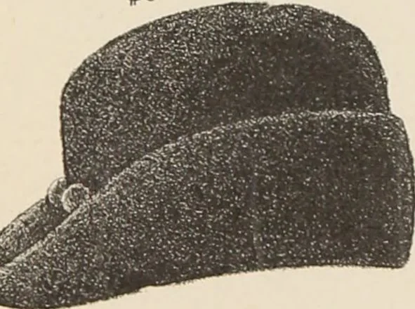 An illustration from Lamson & Hubbard, manufacturers of ladies' furs of every description : wholesale and retail, 1890, leaf 67