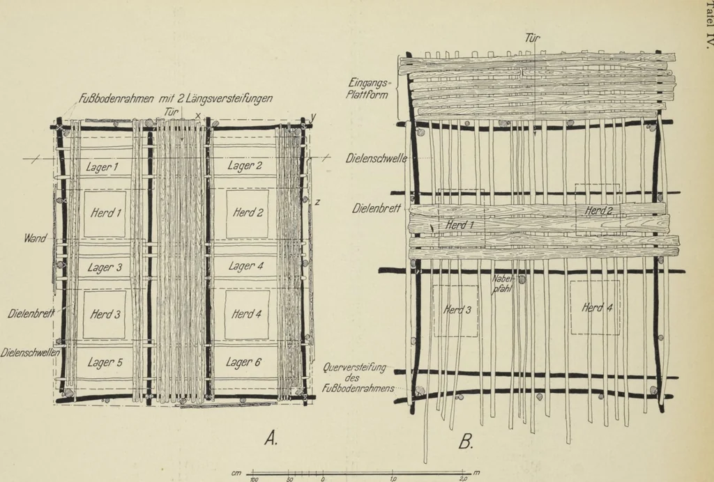 An illustration from Forschungen im Innern der Insel Neuguinea : (Bericht des Führers über die wissenschaftlichen Ergebnisse der deutschen Grenzexpedition in das westliche Kaiser-Wilhelmsland 1910), 1914, leaf 114