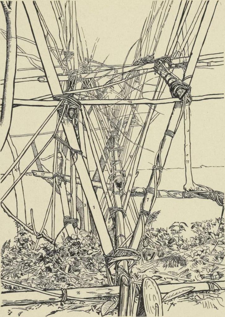 An illustration from Forschungen im Innern der Insel Neuguinea : (Bericht des Führers über die wissenschaftlichen Ergebnisse der deutschen Grenzexpedition in das westliche Kaiser-Wilhelmsland 1910), 1914, leaf 124