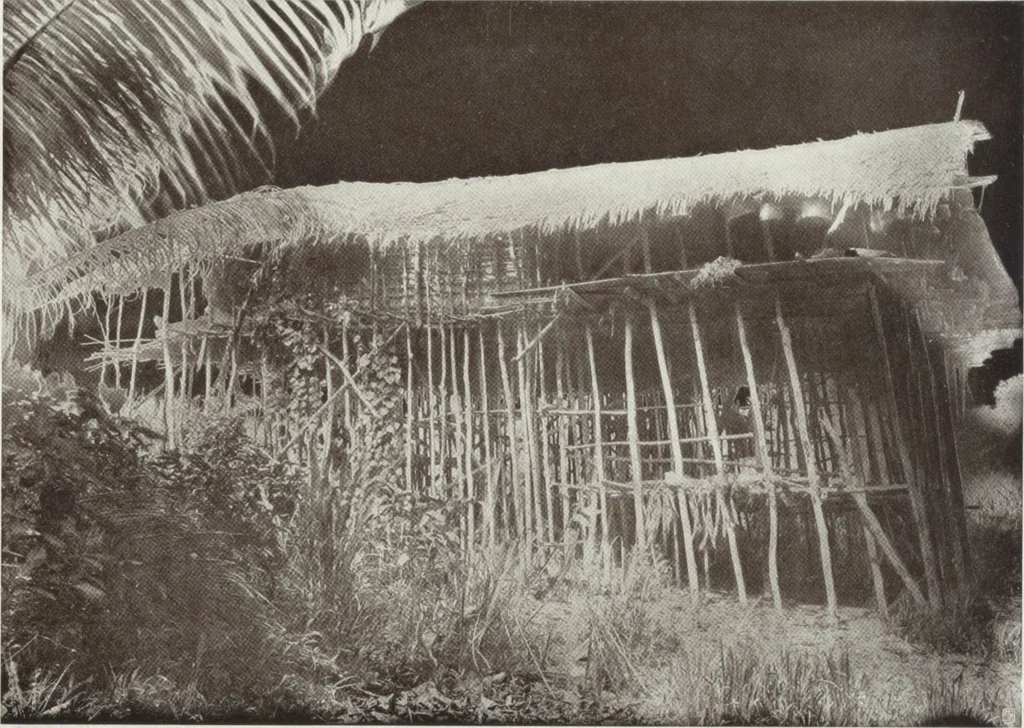An illustration from Forschungen im Innern der Insel Neuguinea : (Bericht des Führers über die wissenschaftlichen Ergebnisse der deutschen Grenzexpedition in das westliche Kaiser-Wilhelmsland 1910), 1914, leaf 139