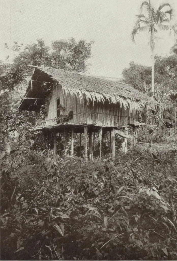 An illustration from Forschungen im Innern der Insel Neuguinea : (Bericht des Führers über die wissenschaftlichen Ergebnisse der deutschen Grenzexpedition in das westliche Kaiser-Wilhelmsland 1910), 1914, leaf 140