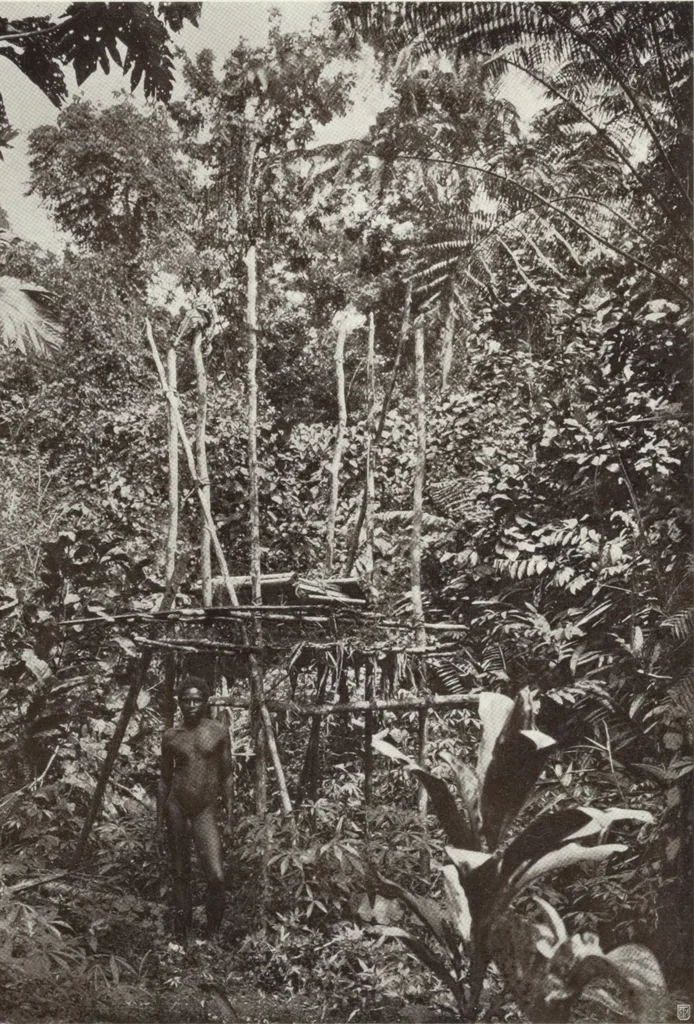 An illustration from Forschungen im Innern der Insel Neuguinea : (Bericht des Führers über die wissenschaftlichen Ergebnisse der deutschen Grenzexpedition in das westliche Kaiser-Wilhelmsland 1910), 1914, leaf 141