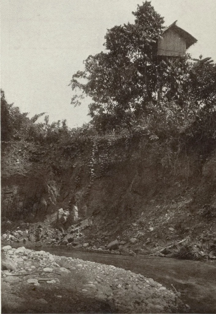 An illustration from Forschungen im Innern der Insel Neuguinea : (Bericht des Führers über die wissenschaftlichen Ergebnisse der deutschen Grenzexpedition in das westliche Kaiser-Wilhelmsland 1910), 1914, leaf 141