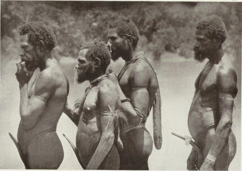 An illustration from Forschungen im Innern der Insel Neuguinea : (Bericht des Führers über die wissenschaftlichen Ergebnisse der deutschen Grenzexpedition in das westliche Kaiser-Wilhelmsland 1910), 1914, leaf 158