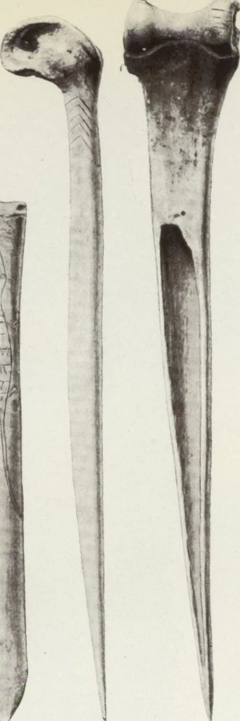 An illustration from Forschungen im Innern der Insel Neuguinea : (Bericht des Führers über die wissenschaftlichen Ergebnisse der deutschen Grenzexpedition in das westliche Kaiser-Wilhelmsland 1910), 1914, leaf 167
