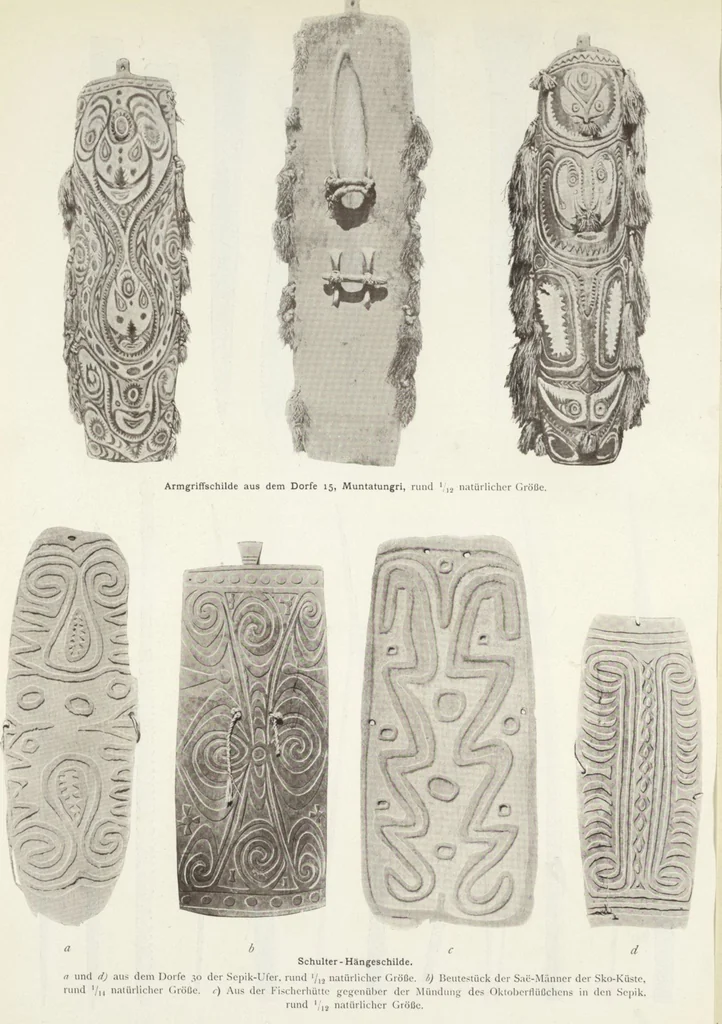 An illustration from Forschungen im Innern der Insel Neuguinea : (Bericht des Führers über die wissenschaftlichen Ergebnisse der deutschen Grenzexpedition in das westliche Kaiser-Wilhelmsland 1910), 1914, leaf 168