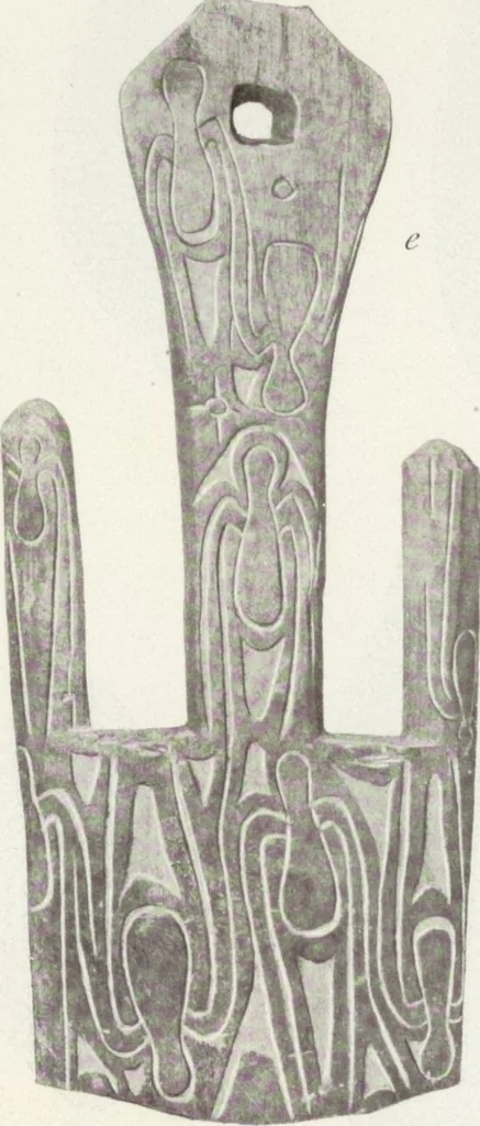 An illustration from Forschungen im Innern der Insel Neuguinea : (Bericht des Führers über die wissenschaftlichen Ergebnisse der deutschen Grenzexpedition in das westliche Kaiser-Wilhelmsland 1910), 1914, leaf 173