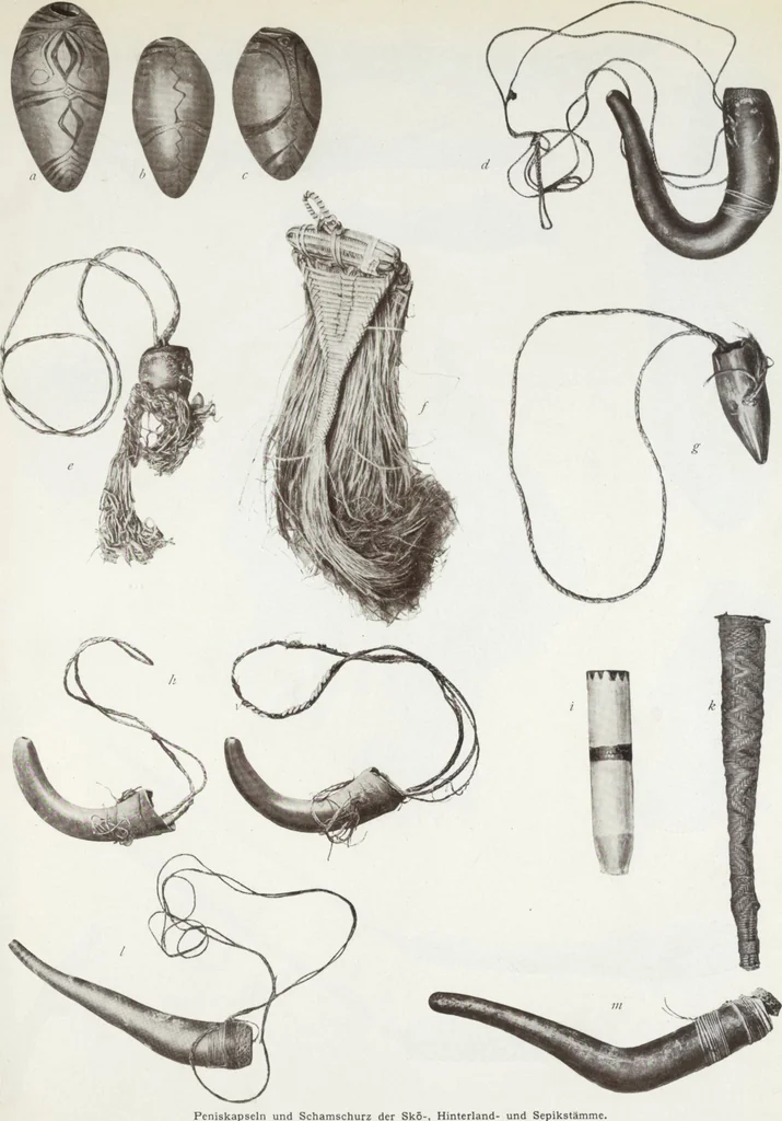 An illustration from Forschungen im Innern der Insel Neuguinea : (Bericht des Führers über die wissenschaftlichen Ergebnisse der deutschen Grenzexpedition in das westliche Kaiser-Wilhelmsland 1910), 1914, leaf 177