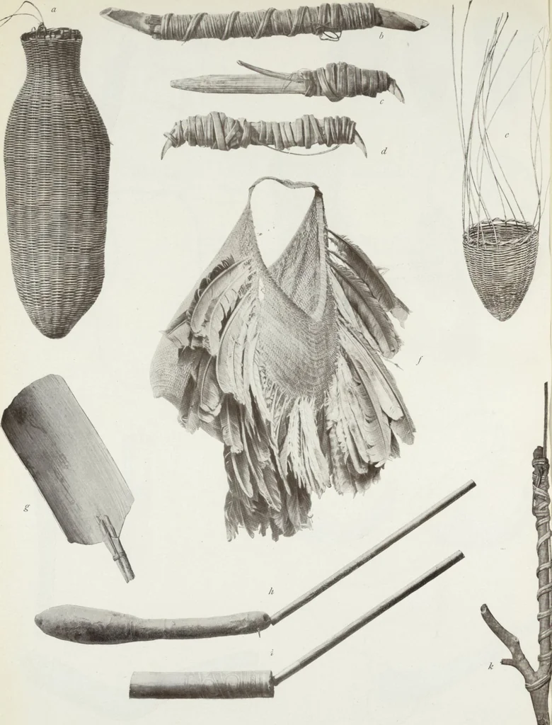 An illustration from Forschungen im Innern der Insel Neuguinea : (Bericht des Führers über die wissenschaftlichen Ergebnisse der deutschen Grenzexpedition in das westliche Kaiser-Wilhelmsland 1910), 1914, leaf 178