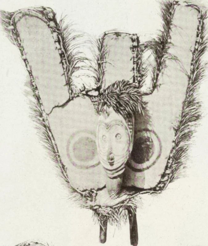 An illustration from Forschungen im Innern der Insel Neuguinea : (Bericht des Führers über die wissenschaftlichen Ergebnisse der deutschen Grenzexpedition in das westliche Kaiser-Wilhelmsland 1910), 1914, leaf 184