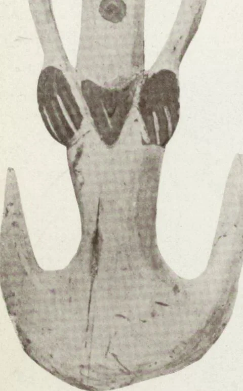 An illustration from Forschungen im Innern der Insel Neuguinea : (Bericht des Führers über die wissenschaftlichen Ergebnisse der deutschen Grenzexpedition in das westliche Kaiser-Wilhelmsland 1910), 1914, leaf 184