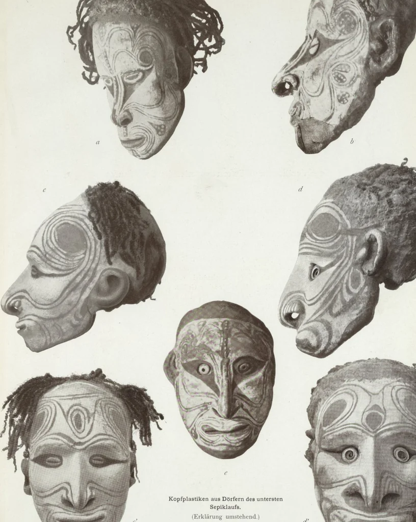 An illustration from Forschungen im Innern der Insel Neuguinea : (Bericht des Führers über die wissenschaftlichen Ergebnisse der deutschen Grenzexpedition in das westliche Kaiser-Wilhelmsland 1910), 1914, leaf 185