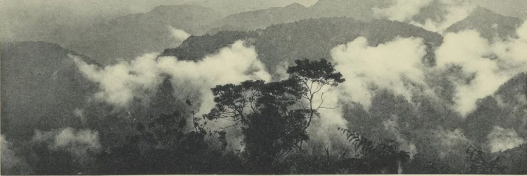 An illustration from Forschungen im Innern der Insel Neuguinea : (Bericht des Führers über die wissenschaftlichen Ergebnisse der deutschen Grenzexpedition in das westliche Kaiser-Wilhelmsland 1910), 1914, leaf 194