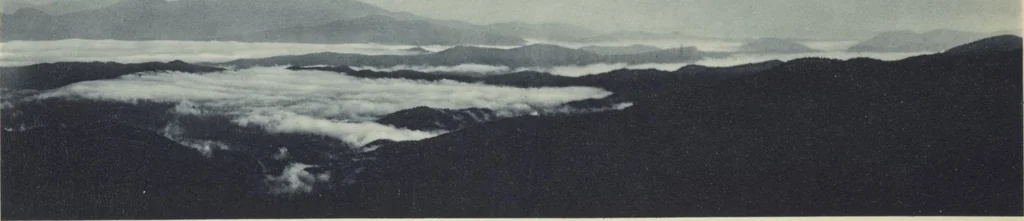 An illustration from Forschungen im Innern der Insel Neuguinea : (Bericht des Führers über die wissenschaftlichen Ergebnisse der deutschen Grenzexpedition in das westliche Kaiser-Wilhelmsland 1910), 1914, leaf 206