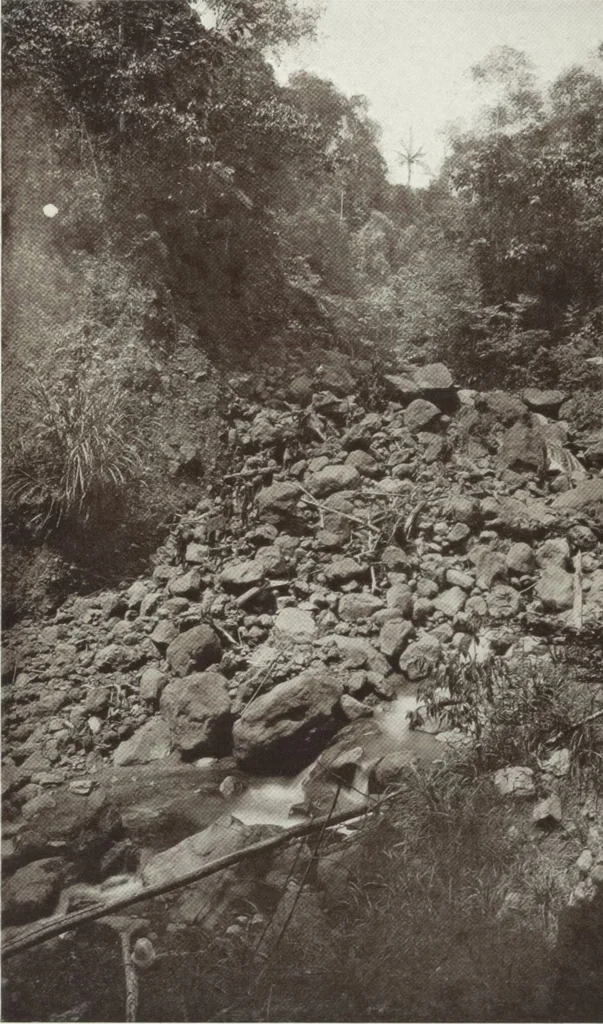 An illustration from Forschungen im Innern der Insel Neuguinea : (Bericht des Führers über die wissenschaftlichen Ergebnisse der deutschen Grenzexpedition in das westliche Kaiser-Wilhelmsland 1910), 1914, leaf 214