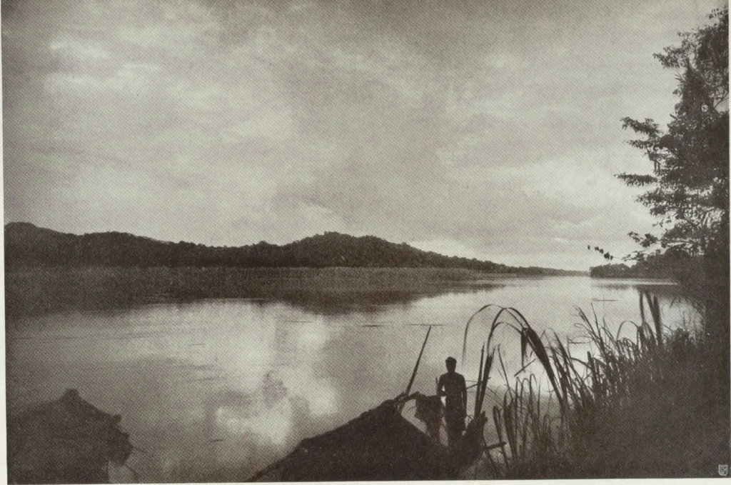 An illustration from Forschungen im Innern der Insel Neuguinea : (Bericht des Führers über die wissenschaftlichen Ergebnisse der deutschen Grenzexpedition in das westliche Kaiser-Wilhelmsland 1910), 1914, leaf 216