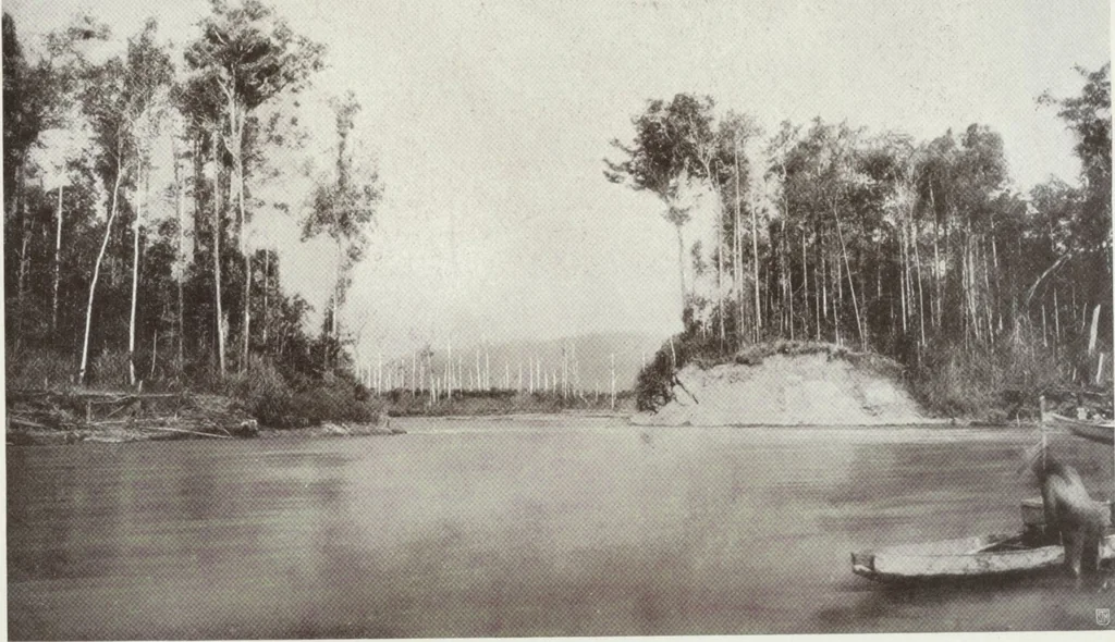 An illustration from Forschungen im Innern der Insel Neuguinea : (Bericht des Führers über die wissenschaftlichen Ergebnisse der deutschen Grenzexpedition in das westliche Kaiser-Wilhelmsland 1910), 1914, leaf 216