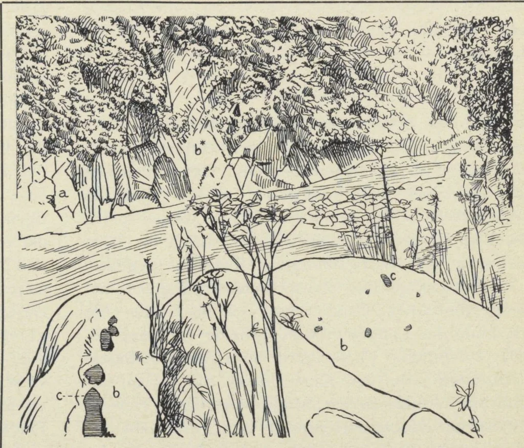 An illustration from Forschungen im Innern der Insel Neuguinea : (Bericht des Führers über die wissenschaftlichen Ergebnisse der deutschen Grenzexpedition in das westliche Kaiser-Wilhelmsland 1910), 1914, leaf 28