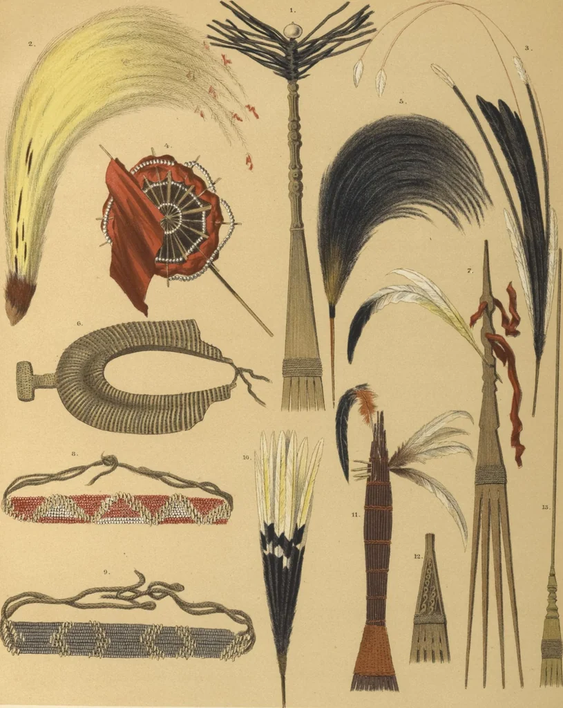 An illustration from Ethnographische beschrijving van de west- en noord-kust van Nederlandsch Nieuw-Guinea / door F.S.A. de Clercq met medewerking van J.D.E. Schmeltz ... Met bijvoeging eener schets der ethnographie van Duitsch en Britsch Nieuw-Guinea. Met 42 platen en 51 tekstillustraties, 1893, leaf 334