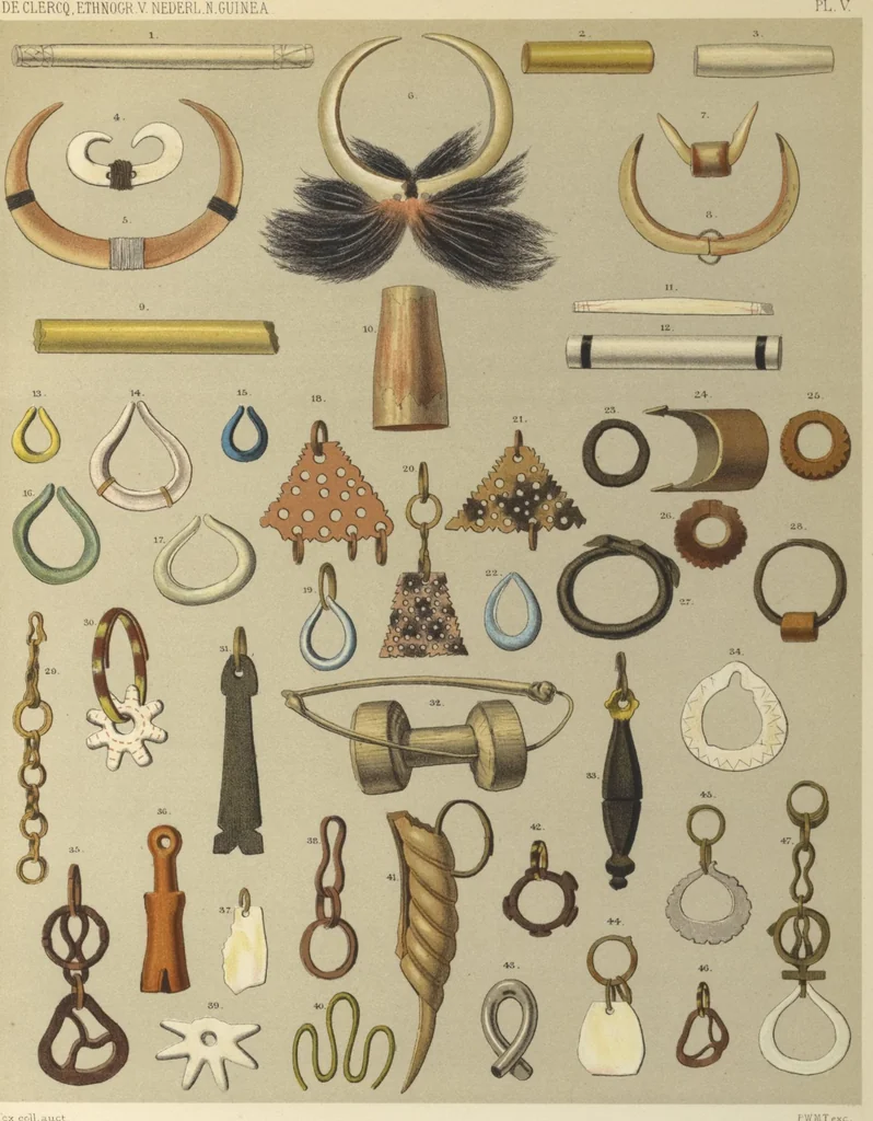 An illustration from Ethnographische beschrijving van de west- en noord-kust van Nederlandsch Nieuw-Guinea / door F.S.A. de Clercq met medewerking van J.D.E. Schmeltz ... Met bijvoeging eener schets der ethnographie van Duitsch en Britsch Nieuw-Guinea. Met 42 platen en 51 tekstillustraties, 1893, leaf 336