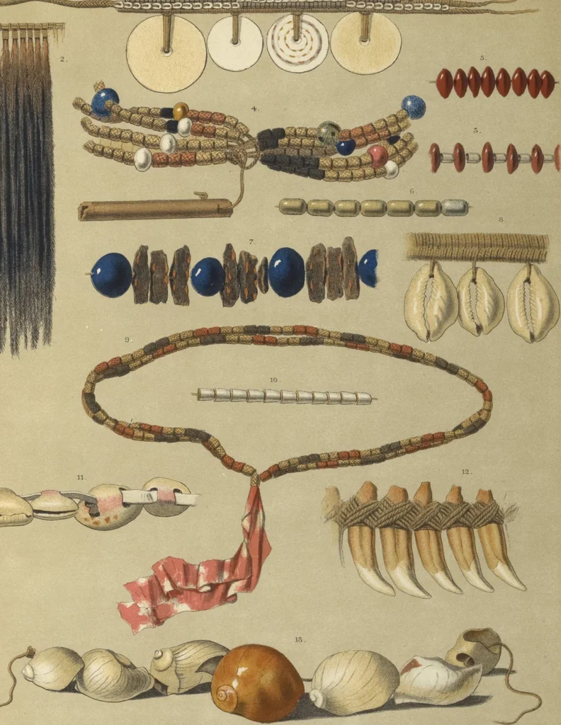 An illustration from Ethnographische beschrijving van de west- en noord-kust van Nederlandsch Nieuw-Guinea / door F.S.A. de Clercq met medewerking van J.D.E. Schmeltz ... Met bijvoeging eener schets der ethnographie van Duitsch en Britsch Nieuw-Guinea. Met 42 platen en 51 tekstillustraties, 1893, leaf 340