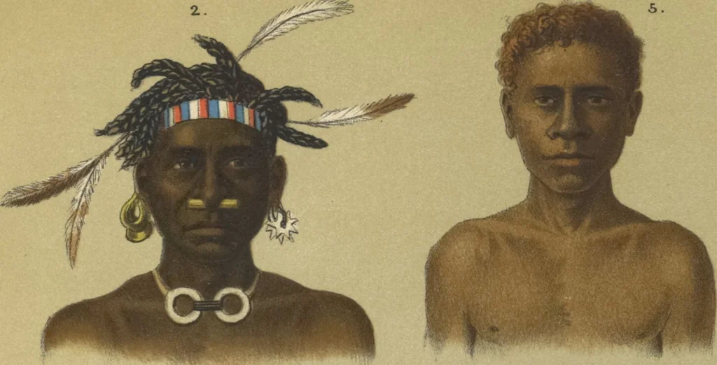 An illustration from Ethnographische beschrijving van de west- en noord-kust van Nederlandsch Nieuw-Guinea / door F.S.A. de Clercq met medewerking van J.D.E. Schmeltz ... Met bijvoeging eener schets der ethnographie van Duitsch en Britsch Nieuw-Guinea. Met 42 platen en 51 tekstillustraties, 1893, leaf 408