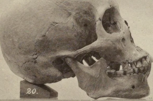 An illustration from Alt-Mexico : Archäologische Beiträge zur Kulturgeschichte seiner Bewohner : [volume 1] / von Hermann Strebel, 1885, leaf 161