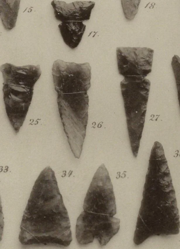 An illustration from Alt-Mexico : Archäologische Beiträge zur Kulturgeschichte seiner Bewohner : [volume 2] / von Hermann Strebel, 1885, leaf 207