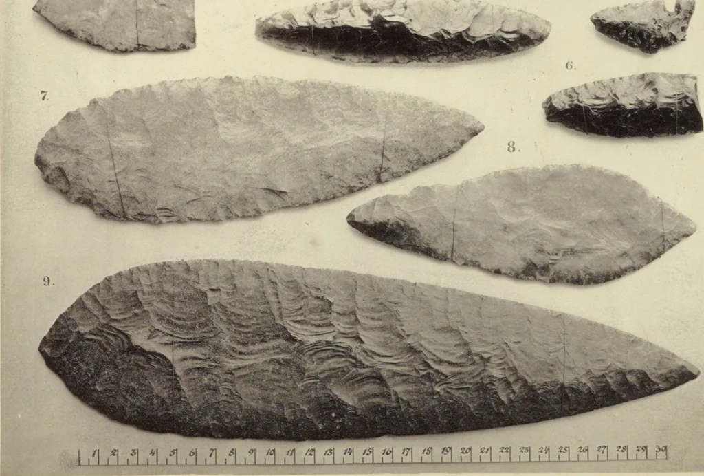 An illustration from Alt-Mexico : Archäologische Beiträge zur Kulturgeschichte seiner Bewohner : [volume 2] / von Hermann Strebel, 1885, leaf 229
