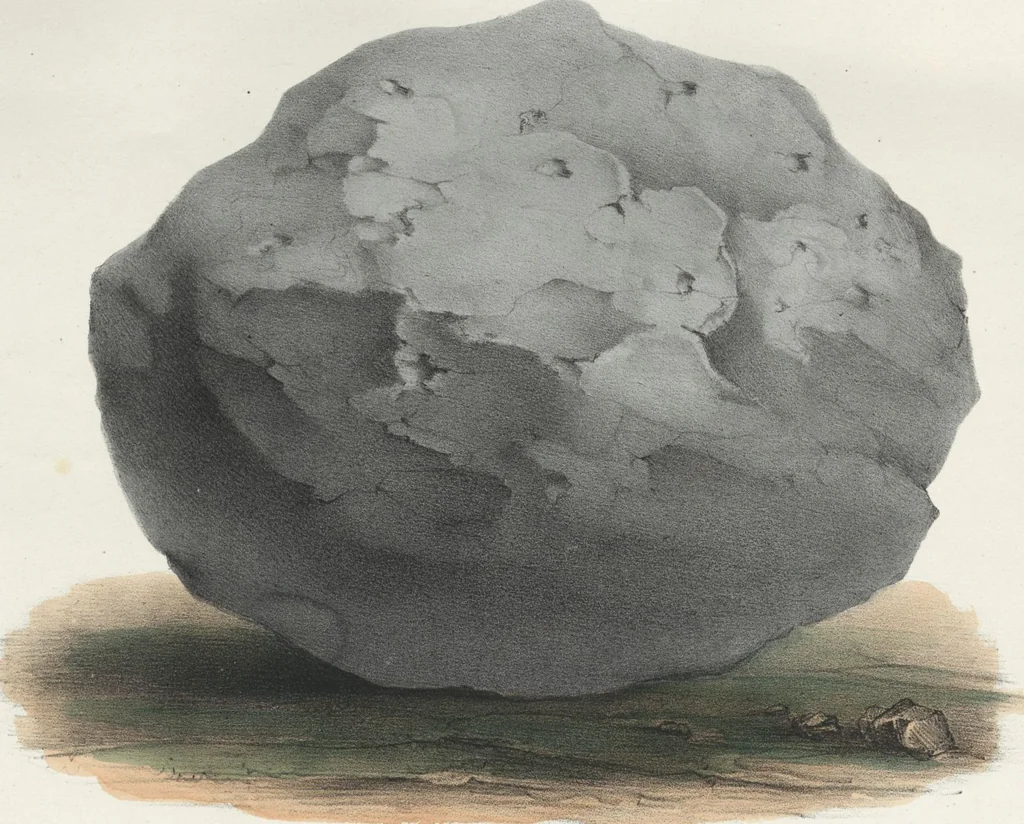 An illustration from Antiquités mexicaines : relation des trois expéditions du capitaine Dupaix, ordonnées en 1805, 1806, et 1807, pour la recherche des antiquités du pays, notamment celles de Mitla et de Palenque : [atlas] / accompagnée des dessins de Castañeda et d'une carte du pays exploré ; suivie d'un parallèle de ces monuments avec ceux de l'Égypte, de l'Indostan, et du reste de l'ancien monde, par M. Alexandre Lenoir, d'une dissertation sur l'origine de l'ancienne population des deux Amériques et sur les diverses antiquités de ce continent, par M. Warden, avec un discours préliminaire par M. Charles Farcy, et des notes explicatives, et autres documents, par MM. Baradère, de St. Priest, et plusieurs voyageurs que ont parcouru l'Amérique, 1834, leaf 10