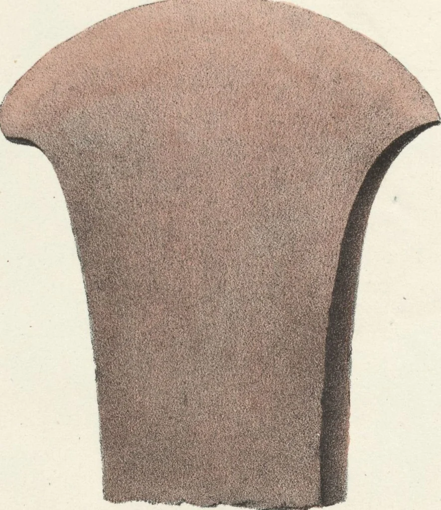 An illustration from Antiquités mexicaines : relation des trois expéditions du capitaine Dupaix, ordonnées en 1805, 1806, et 1807, pour la recherche des antiquités du pays, notamment celles de Mitla et de Palenque : [atlas] / accompagnée des dessins de Castañeda et d'une carte du pays exploré ; suivie d'un parallèle de ces monuments avec ceux de l'Égypte, de l'Indostan, et du reste de l'ancien monde, par M. Alexandre Lenoir, d'une dissertation sur l'origine de l'ancienne population des deux Amériques et sur les diverses antiquités de ce continent, par M. Warden, avec un discours préliminaire par M. Charles Farcy, et des notes explicatives, et autres documents, par MM. Baradère, de St. Priest, et plusieurs voyageurs que ont parcouru l'Amérique, 1834, leaf 109