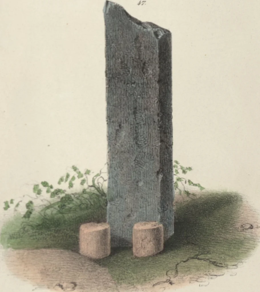 An illustration from Antiquités mexicaines : relation des trois expéditions du capitaine Dupaix, ordonnées en 1805, 1806, et 1807, pour la recherche des antiquités du pays, notamment celles de Mitla et de Palenque : [atlas] / accompagnée des dessins de Castañeda et d'une carte du pays exploré ; suivie d'un parallèle de ces monuments avec ceux de l'Égypte, de l'Indostan, et du reste de l'ancien monde, par M. Alexandre Lenoir, d'une dissertation sur l'origine de l'ancienne population des deux Amériques et sur les diverses antiquités de ce continent, par M. Warden, avec un discours préliminaire par M. Charles Farcy, et des notes explicatives, et autres documents, par MM. Baradère, de St. Priest, et plusieurs voyageurs que ont parcouru l'Amérique, 1834, leaf 149