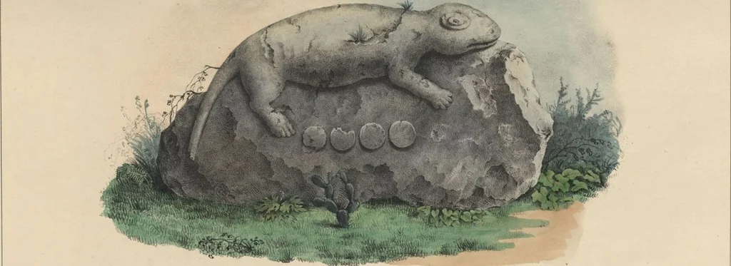 An illustration from Antiquités mexicaines : relation des trois expéditions du capitaine Dupaix, ordonnées en 1805, 1806, et 1807, pour la recherche des antiquités du pays, notamment celles de Mitla et de Palenque : [atlas] / accompagnée des dessins de Castañeda et d'une carte du pays exploré ; suivie d'un parallèle de ces monuments avec ceux de l'Égypte, de l'Indostan, et du reste de l'ancien monde, par M. Alexandre Lenoir, d'une dissertation sur l'origine de l'ancienne population des deux Amériques et sur les diverses antiquités de ce continent, par M. Warden, avec un discours préliminaire par M. Charles Farcy, et des notes explicatives, et autres documents, par MM. Baradère, de St. Priest, et plusieurs voyageurs que ont parcouru l'Amérique, 1834, leaf 29