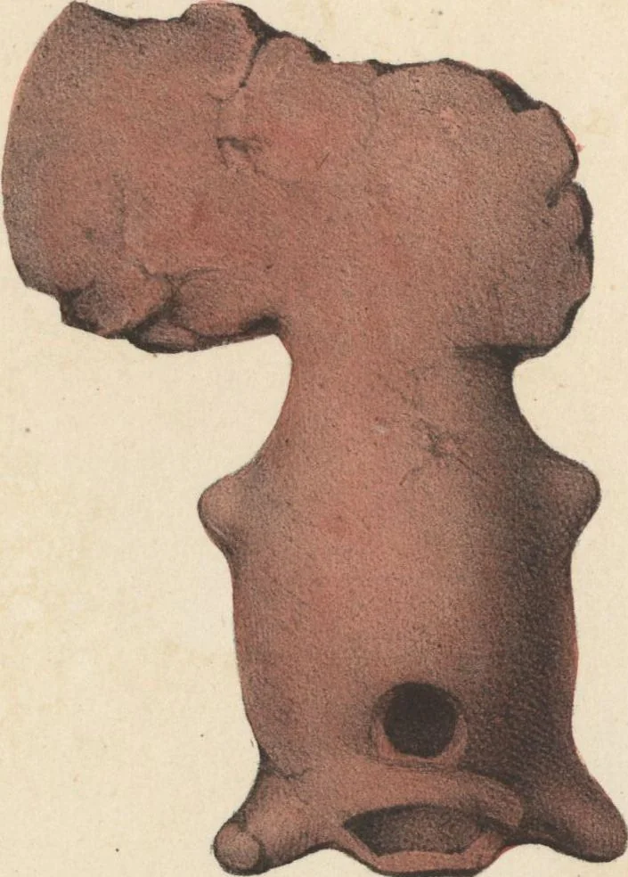 An illustration from Antiquités mexicaines : relation des trois expéditions du capitaine Dupaix, ordonnées en 1805, 1806, et 1807, pour la recherche des antiquités du pays, notamment celles de Mitla et de Palenque : [atlas] / accompagnée des dessins de Castañeda et d'une carte du pays exploré ; suivie d'un parallèle de ces monuments avec ceux de l'Égypte, de l'Indostan, et du reste de l'ancien monde, par M. Alexandre Lenoir, d'une dissertation sur l'origine de l'ancienne population des deux Amériques et sur les diverses antiquités de ce continent, par M. Warden, avec un discours préliminaire par M. Charles Farcy, et des notes explicatives, et autres documents, par MM. Baradère, de St. Priest, et plusieurs voyageurs que ont parcouru l'Amérique, 1834, leaf 94