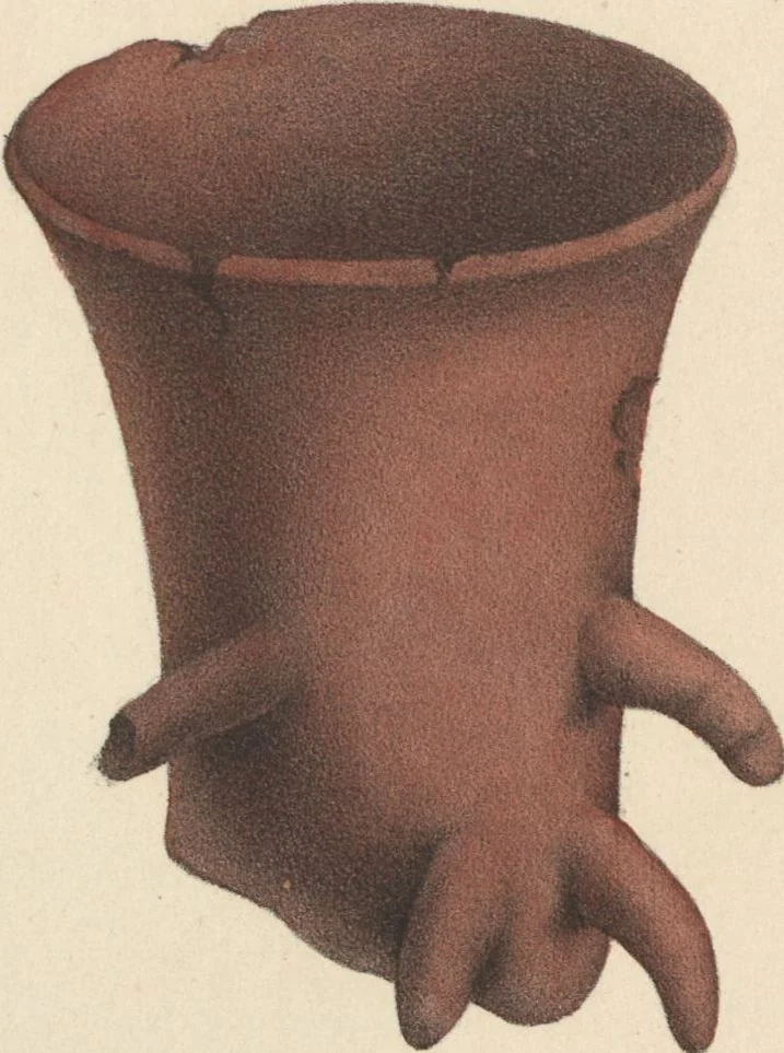 An illustration from Antiquités mexicaines : relation des trois expéditions du capitaine Dupaix, ordonnées en 1805, 1806, et 1807, pour la recherche des antiquités du pays, notamment celles de Mitla et de Palenque : [atlas] / accompagnée des dessins de Castañeda et d'une carte du pays exploré ; suivie d'un parallèle de ces monuments avec ceux de l'Égypte, de l'Indostan, et du reste de l'ancien monde, par M. Alexandre Lenoir, d'une dissertation sur l'origine de l'ancienne population des deux Amériques et sur les diverses antiquités de ce continent, par M. Warden, avec un discours préliminaire par M. Charles Farcy, et des notes explicatives, et autres documents, par MM. Baradère, de St. Priest, et plusieurs voyageurs que ont parcouru l'Amérique, 1834, leaf 96