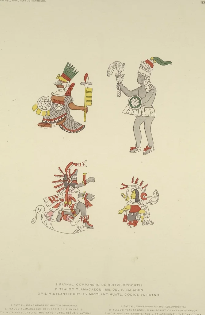 An illustration from Monumentos del arte mexicano antiguo : Ornamentación, mitología, tributos y monumentos : [volume 2] / por el Dr. Antonio Peñafiel, 1890, leaf 196