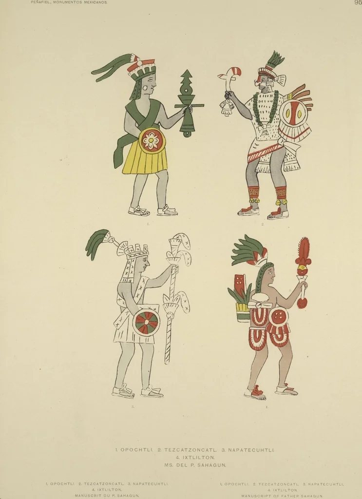 An illustration from Monumentos del arte mexicano antiguo : Ornamentación, mitología, tributos y monumentos : [volume 2] / por el Dr. Antonio Peñafiel, 1890, leaf 200