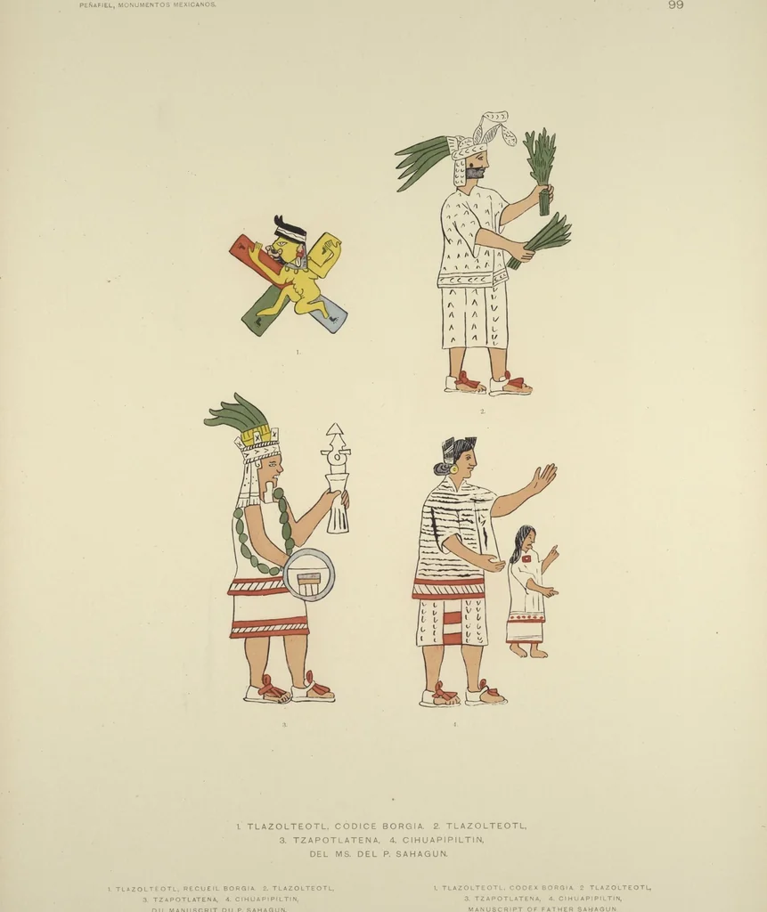 An illustration from Monumentos del arte mexicano antiguo : Ornamentación, mitología, tributos y monumentos : [volume 2] / por el Dr. Antonio Peñafiel, 1890, leaf 208