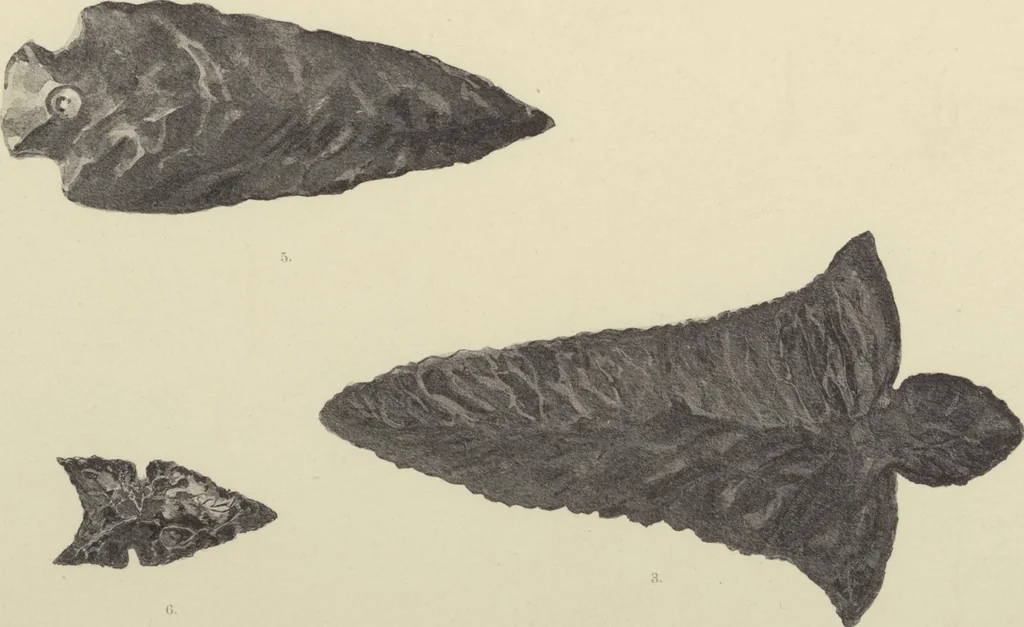 An illustration from Monumentos del arte mexicano antiguo : Ornamentación, mitología, tributos y monumentos : [volume 2] / por el Dr. Antonio Peñafiel, 1890, leaf 248