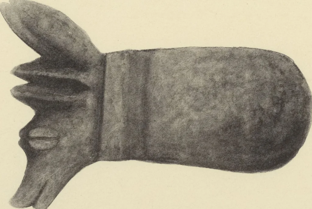 An illustration from Monumentos del arte mexicano antiguo : Ornamentación, mitología, tributos y monumentos : [volume 2] / por el Dr. Antonio Peñafiel, 1890, leaf 250