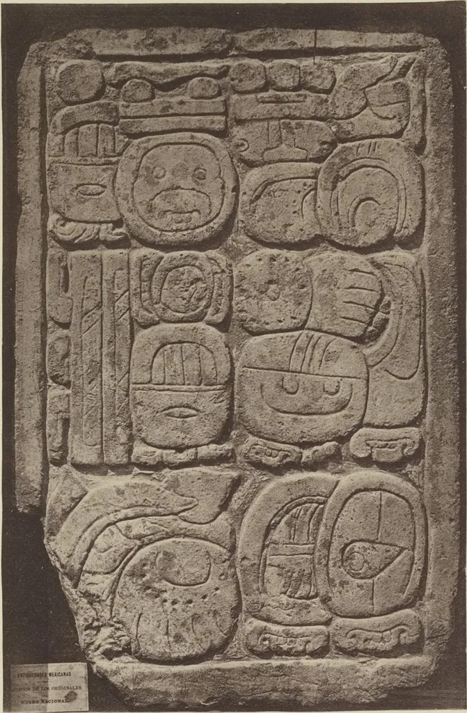 An illustration from Monumentos del arte mexicano antiguo : Ornamentación, mitología, tributos y monumentos : [volume 2] / por el Dr. Antonio Peñafiel, 1890, leaf 306