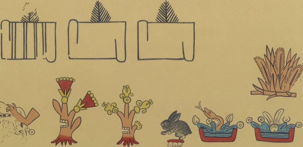 An illustration from Monumentos del arte mexicano antiguo : Ornamentación, mitología, tributos y monumentos : [volume 3] / por el Dr. Antonio Peñafiel, 1890, leaf 178