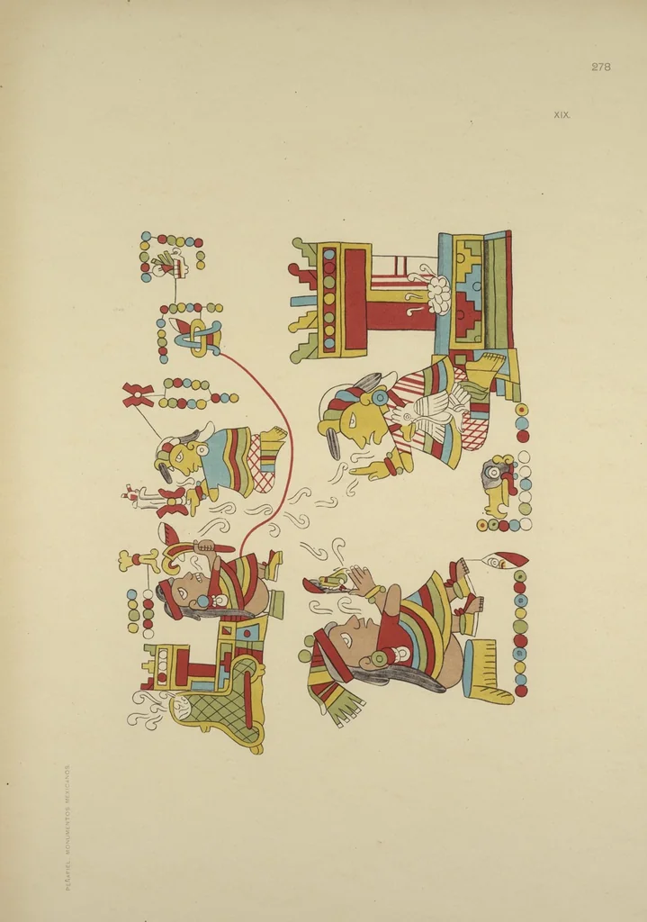 An illustration from Monumentos del arte mexicano antiguo : Ornamentación, mitología, tributos y monumentos : [volume 3] / por el Dr. Antonio Peñafiel, 1890, leaf 232