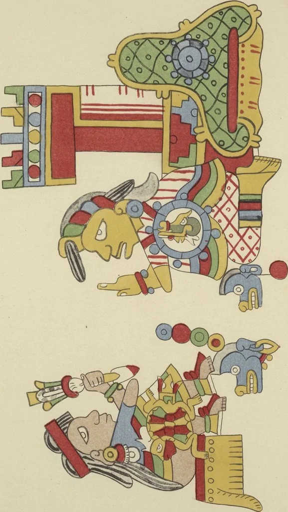 An illustration from Monumentos del arte mexicano antiguo : Ornamentación, mitología, tributos y monumentos : [volume 3] / por el Dr. Antonio Peñafiel, 1890, leaf 238