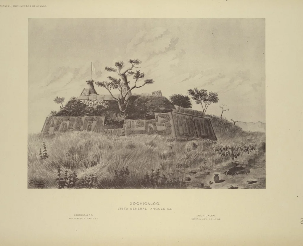 An illustration from Monumentos del arte mexicano antiguo : Ornamentación, mitología, tributos y monumentos : [volume 3] / por el Dr. Antonio Peñafiel, 1890, leaf 24