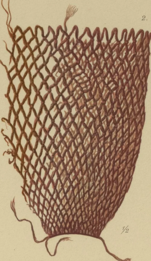 An illustration from Kultur und Industrie südamerikanischer Völker : nach dem im Besitze des Museums für Völkerkunde zu Leipzig befindlichen Sammlungen : [volume 1] / von A. Stübel, W. Reiss und B. Koppel ; Text und Beschreibung der Tafeln von Max Uhle, 1889, leaf 236
