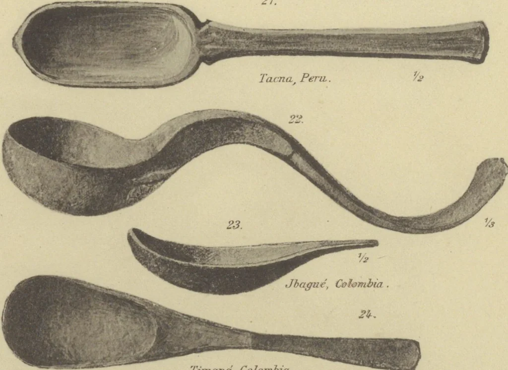 An illustration from Kultur und Industrie südamerikanischer Völker : nach dem im Besitze des Museums für Völkerkunde zu Leipzig befindlichen Sammlungen : [volume 2] / von A. Stübel, W. Reiss und B. Koppel ; Text und Beschreibung der Tafeln von Max Uhle, 1889, leaf 46